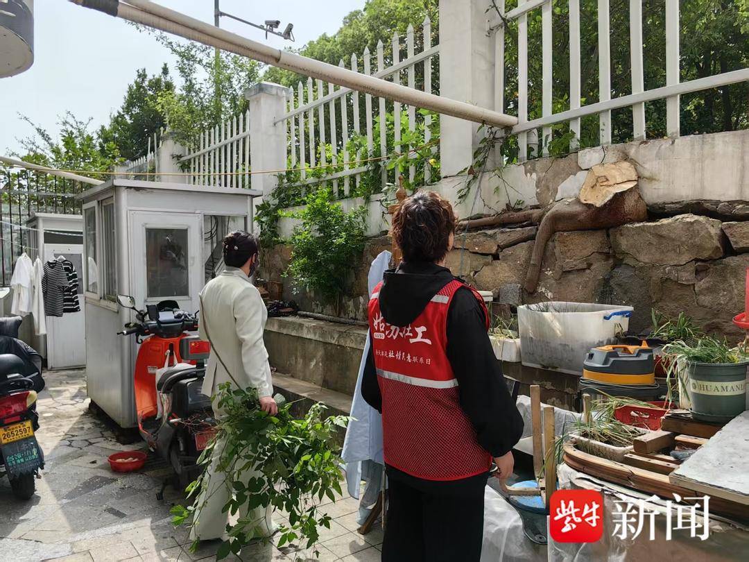 危樹(shù)隱患清零<strong></p>
<p>流水線</strong>！“24小時(shí)民情流水線”快速解民憂:流水線
